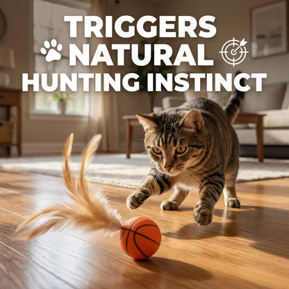 Unleash the Fun with Our Interactive Cat Toy Bouncy Balls - Buy 4 Get 2 Free! Perfect for Indoor Play and Boredom Relief for Kittens and Adult Cats!